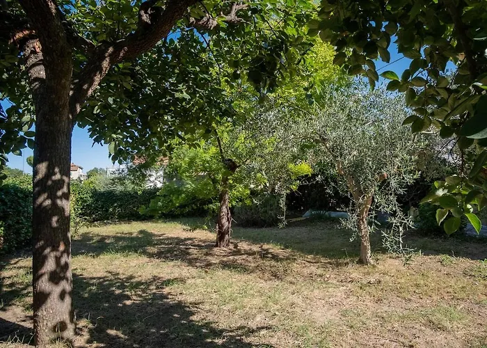 Casa vacanze Casa Adriatica 89 *